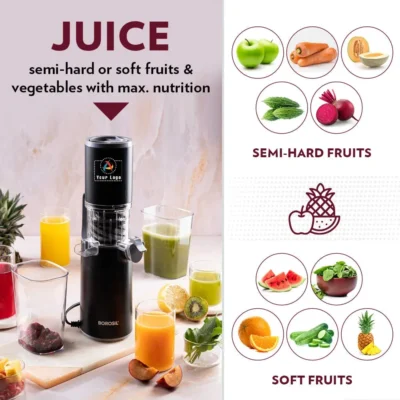 Borosil Easy Juice Cold Press Slow Juicer | CorporateGyft