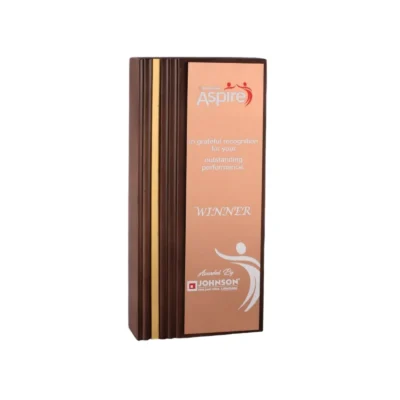 Buy Wooden Achiever Trophy - 116 in bulk for Corporate Gifting | Corporate Gyft