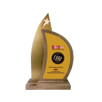 Buy Wooden Star Elite Achiever Trophy - 112 in bulk for Corporate Gifting | Corporate Gyft