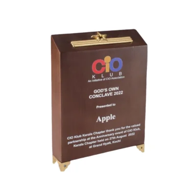 Buy Wooden Gold Star Trophy - 111 in bulk for Corporate Gifting | Corporate Gyft