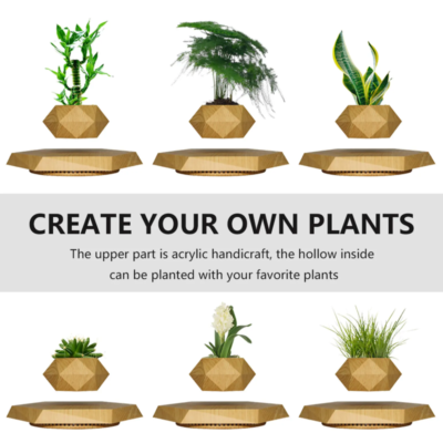 Buy Leviation Magnetic Levitating Floating Plant Holder in bulk for Corporate Gifting | Corporate Gyft