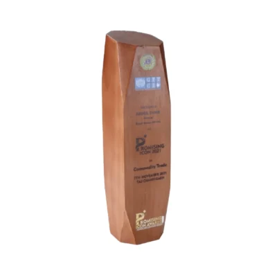 Buy Promising Pioneer Trophy - 105 in bulk for Corporate Gifting | Corporate Gyft