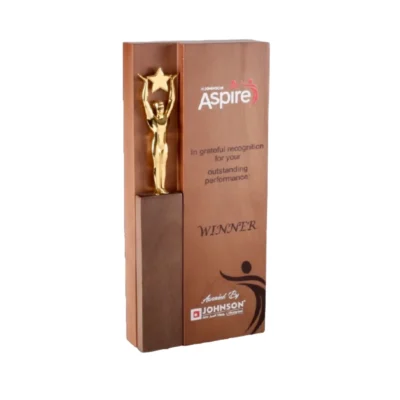 Buy The Golden Reach Wooden Trophy - 127 in bulk for Corporate Gifting | Corporate Gyft