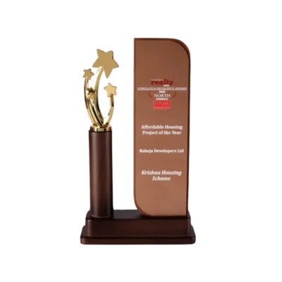 Buy The Wooden Star Trophy - 120 in bulk for Corporate Gifting | Corporate Gyft