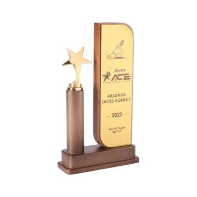 Buy Wooden Golden Star Trophy - 122 in bulk for Corporate Gifting | Corporate Gyft