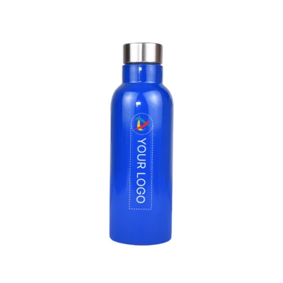 Buy Zeta Blue Sports Bottle in bulk for Corporate Gifting | Corporate Gyft