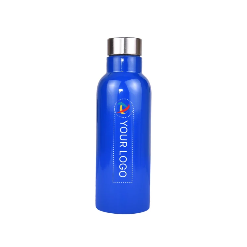 Buy Zeta Blue Sports Bottle in bulk for Corporate Gifting | Corporate Gyft