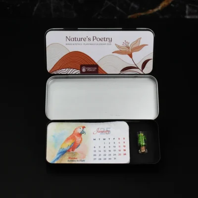 Buy Box Forest Plantable Calender in bulk for Corporate Gifting | Corporate Gyft