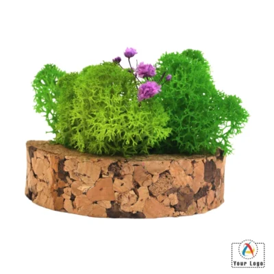 Buy Cork C Garden in bulk for Corporate Gifting | Corporate Gyft