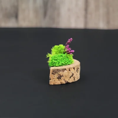 Buy Cork C Garden in bulk for Corporate Gifting | Corporate Gyft