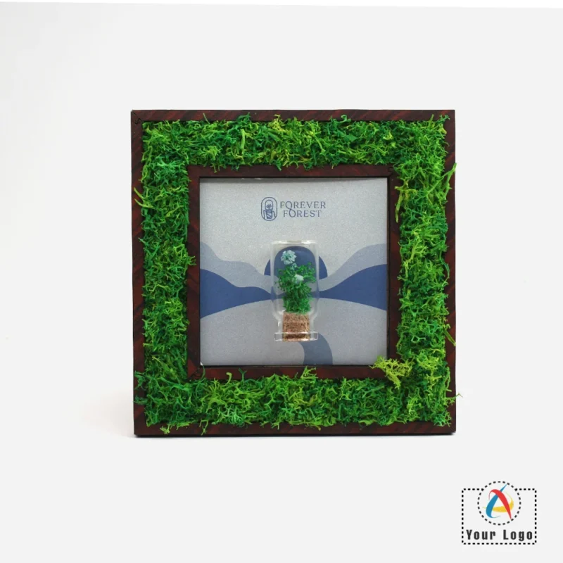 Buy Forest Frame + Glass in bulk for Corporate Gifting | Corporate Gyft