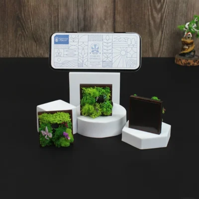 Buy Forest Magnet Trio in bulk for Corporate Gifting | Corporate Gyft