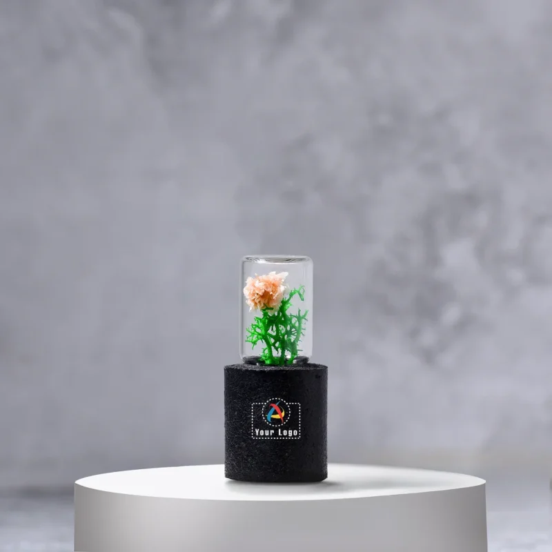 Buy Forest Pod Mini in bulk for Corporate Gifting | Corporate Gyft
