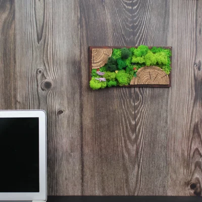 Buy Forest Tile Panoramic in bulk for Corporate Gifting | Corporate Gyft