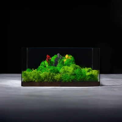 Buy Forever Terrarium Classic in bulk for Corporate Gifting | Corporate Gyft