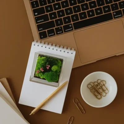 Buy Forever Terrarium Cube in bulk for Corporate Gifting | Corporate Gyft