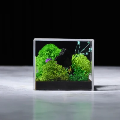 Buy Forever Terrarium Cube in bulk for Corporate Gifting | Corporate Gyft