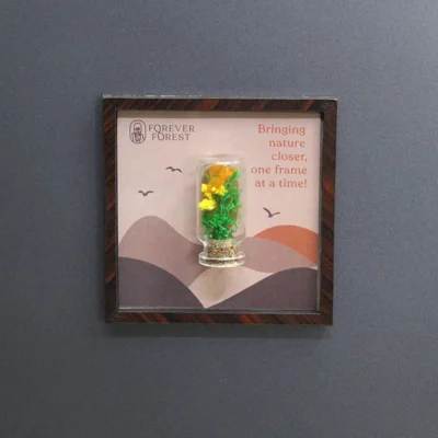 Buy Nature's Stage Magnet in bulk for Corporate Gifting | Corporate Gyft