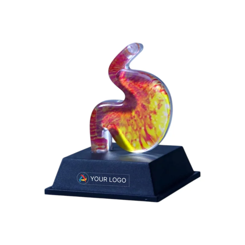 Buy Paper Weight Stomach Shape in bulk for Corporate Gifting | Corporate Gyft