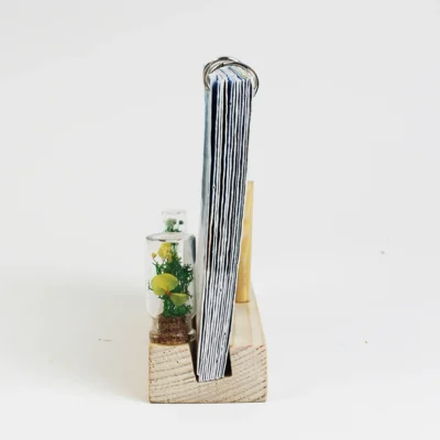 Buy Twin Forest in bulk for Corporate Gifting | Corporate Gyft