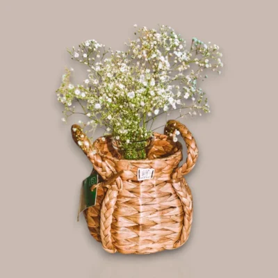 Buy Desktop Planter in bulk for Corporate Gifting | Corporate Gyft