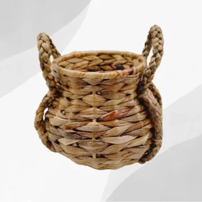 Buy Desktop Planter in bulk for Corporate Gifting | Corporate Gyft