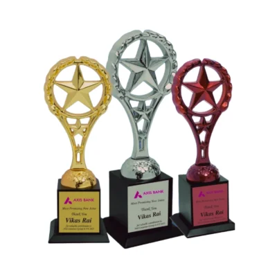 Buy Gold Iconic Metal Star Trophy - 142 in bulk for Corporate Gifting | Corporate Gyft