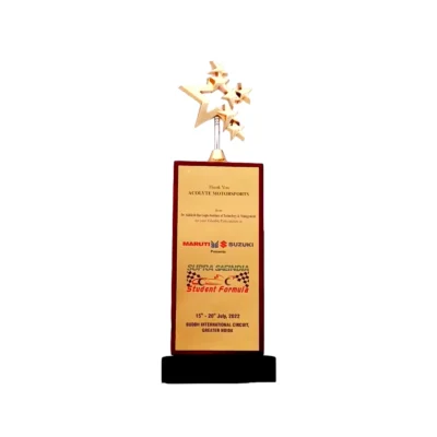 Buy Rising Starwood Trophy - 136 in bulk for Corporate Gifting | Corporate Gyft