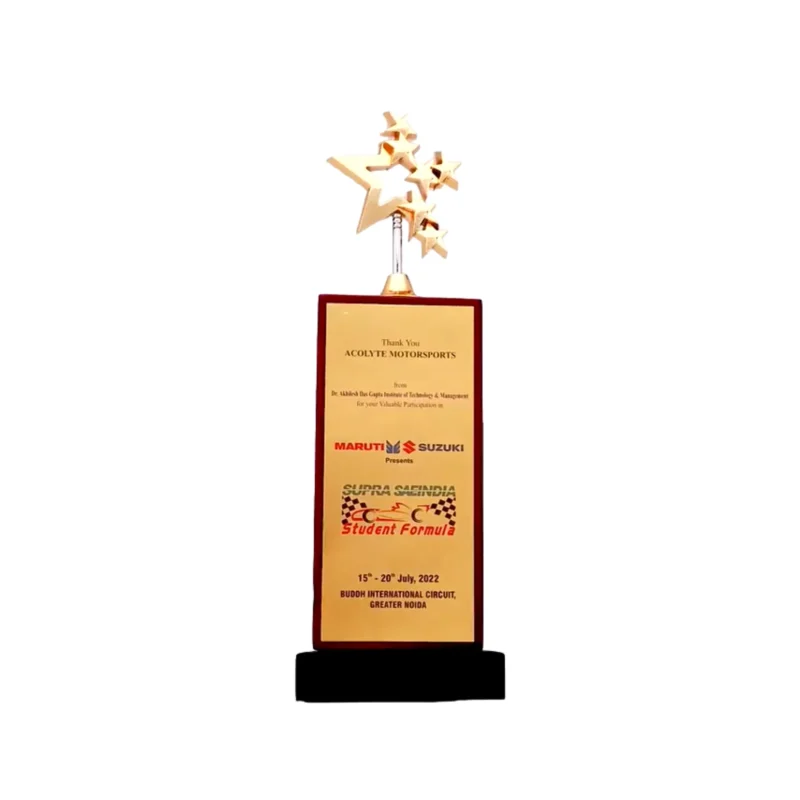 Buy Rising Starwood Trophy - 136 in bulk for Corporate Gifting | Corporate Gyft