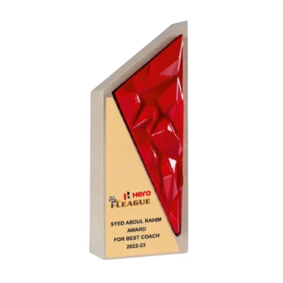 Buy The Ember Facet Trophy - 166 in bulk for Corporate Gifting | Corporate Gyft
