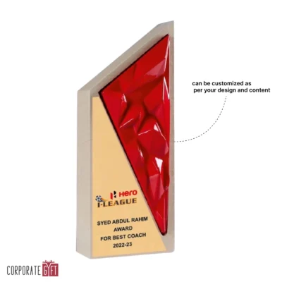 Buy The Ember Facet Trophy - 166 in bulk for Corporate Gifting | Corporate Gyft