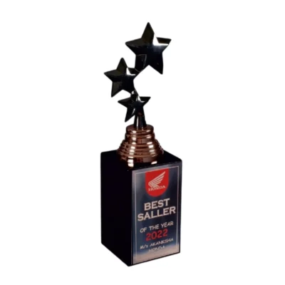 Buy The Obsidian Starfall Trophy - 158 in bulk for Corporate Gifting | Corporate Gyft