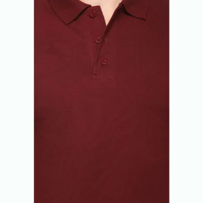 Buy Fas-Tees Polo T-Shirt - Maroon in bulk for Corporate Gifting | Corporate Gyft