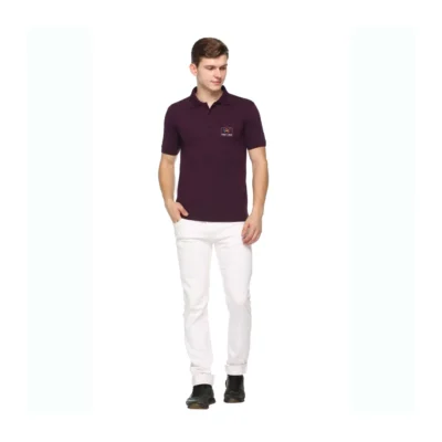 Buy Fas-Tees Polo T-Shirt - Purple in bulk for Corporate Gifting | Corporate Gyft