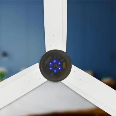 Buy RR BLDC Ceiling Fan with Remote in bulk for Corporate Gifting | Corporate Gyft