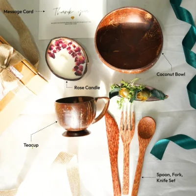 Buy Evergreen Eco-friendly Gift Hamper in bulk for Corporate Gifting | Corporate Gyft