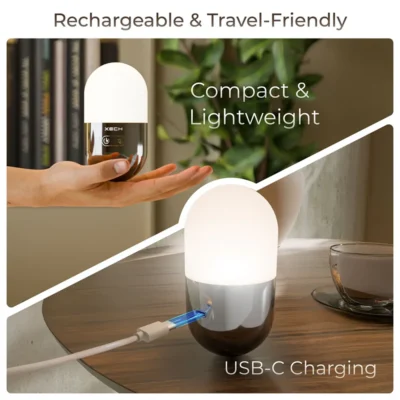 Buy Xech Zen Self-Balancing Lamp Fan in bulk for Corporate Gifting | Corporate Gyft