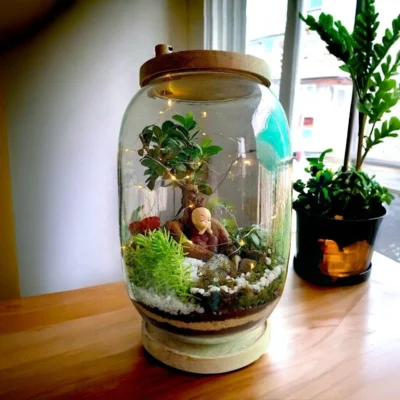 Buy Bell Jar Bonsai Terrarium Gift in bulk for Corporate Gifting | Corporate Gyft