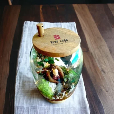 Buy Bell Jar Bonsai Terrarium Gift in bulk for Corporate Gifting | Corporate Gyft