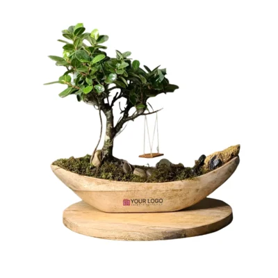 Buy Bonsai Gift in Hand Carved Wooden Ship in bulk for Corporate Gifting | Corporate Gyft