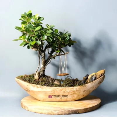 Buy Bonsai Gift in Hand Carved Wooden Ship in bulk for Corporate Gifting | Corporate Gyft