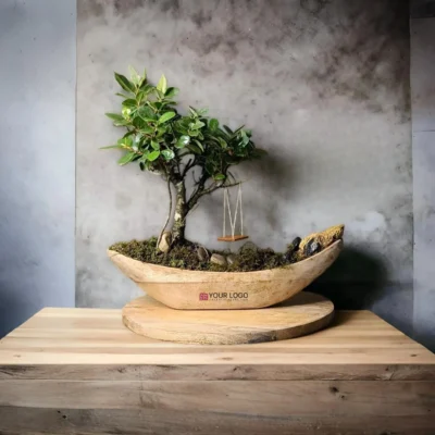 Buy Bonsai Gift in Hand Carved Wooden Ship in bulk for Corporate Gifting | Corporate Gyft