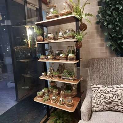 Buy Bonsai Gift in Hand Carved Wooden Ship in bulk for Corporate Gifting | Corporate Gyft