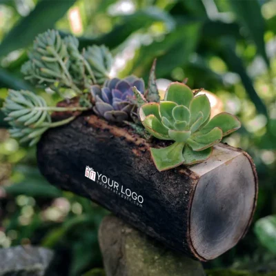 Buy Hand-carved Wooden Log Planter Gift in bulk for Corporate Gifting | Corporate Gyft