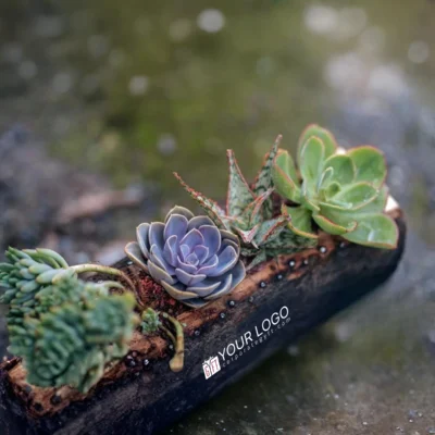 Buy Hand-carved Wooden Log Planter Gift in bulk for Corporate Gifting | Corporate Gyft