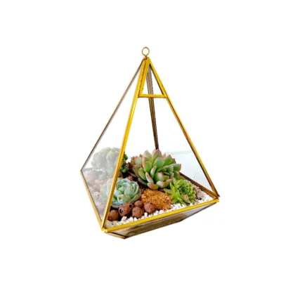 Buy Pyramid Shaped Glass Terrarium Gift in bulk for Corporate Gifting | Corporate Gyft