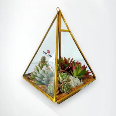 Buy Pyramid Shaped Glass Terrarium Gift in bulk for Corporate Gifting | Corporate Gyft