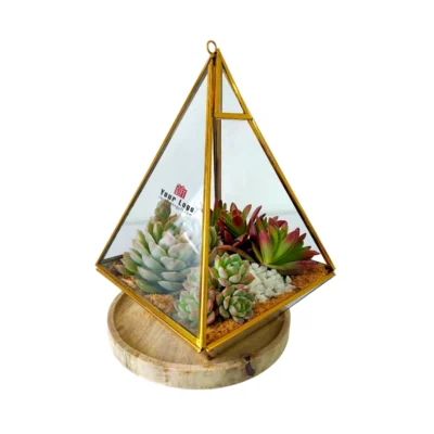 Buy Pyramid Shaped Glass Terrarium Gift in bulk for Corporate Gifting | Corporate Gyft