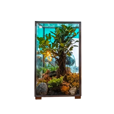 Buy Cuboidal Box Bonsai Terrarium Gift in bulk for Corporate Gifting | Corporate Gyft