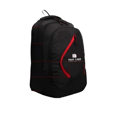 Buy Resilix Executive Office Backpack in bulk for Corporate Gifting | Corporate Gyft